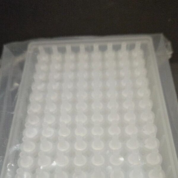 Phenomenex Strata-X-C Microplate 10 mg Strong Cation Each Well 96 Well - 2 Plates Filters Phenomenex