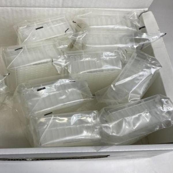 PlateOne Microplate 96 Well Deep Well PP Individually Sealed 10 Plates Lab Consumables::Storage and Culture Plates USA Scientific