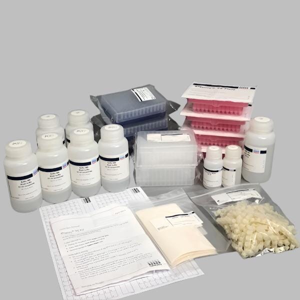 Qiagen 74181 RNeasy 96 Kit (4) Lab Chemicals and Reagent Kits Qiagen