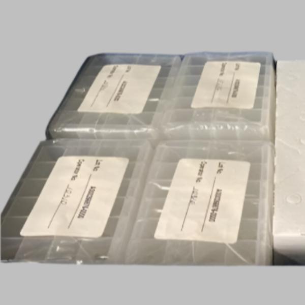 Qiagen Microplate 24 Well 10 ml Individually Sealed 24 Plates Lab Consumables::Storage and Culture Plates Qiagen