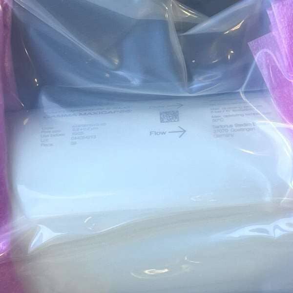 Sartorius Maxicap Filter 10" Sartopore 2 XLG PES 1.5" Sanitary Inlet/Outlet Filters Sartorius