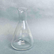 Schott Duran Erlenmeyer Flask 100 ml 30 mm Flange Opening Lot of 6 Flasks Lab Flasks Schott