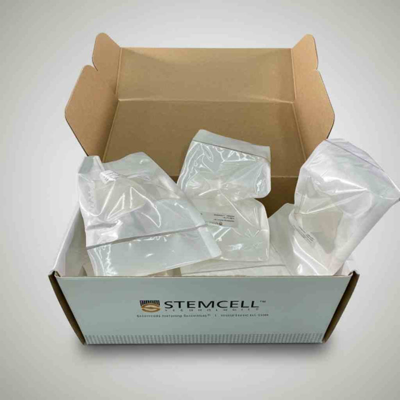 Stemcell Reversible Strainers Large 37 um Box of 12 Strainers Filters Stemcell Technologies