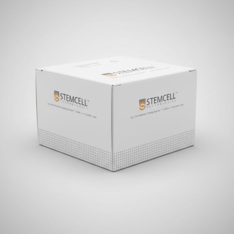Stemcell Reversible Strainers Large 37 um Box of 12 Strainers Filters Stemcell Technologies