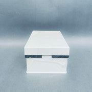 Tecan MCA96 Filtered Disposable Tip 50 ul 10 Racks of 96 - Total of 960 Tips Pipettes Tecan