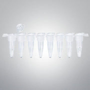 Thermo Scientific 8-Tube Strip with Cap 0.25 ml PP Case of 250 Strips Lab Consumables::Tubes, Vials, and Flasks Thermo Scientific