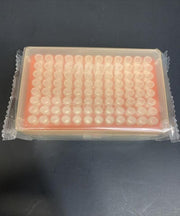 Thermo Scientific 94052350 Pipette Tips 300 ul Finntip Filtered Lot of 8 racks Pipettes & Pipette Tips Thermo Scientific
