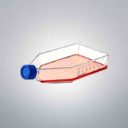 Thermo Scientific Culture Flask 500 cm2 Nunclon Delta Case of 32 Flasks Lab Culture Flask Thermo Scientific