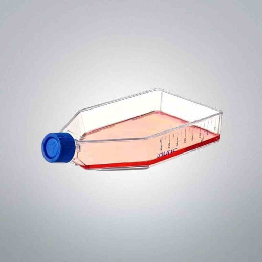 Thermo Scientific Culture Flask 500 cm2 Nunclon Delta Case of 32 Flasks Lab Culture Flask Thermo Scientific
