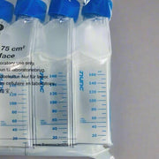 Thermo Scientific Culture Flask Nunc EasYFlask 75 cm2 Nunclon Delta Surface 5 x 20 - Case of 100 Lab Flasks Thermo Scientific