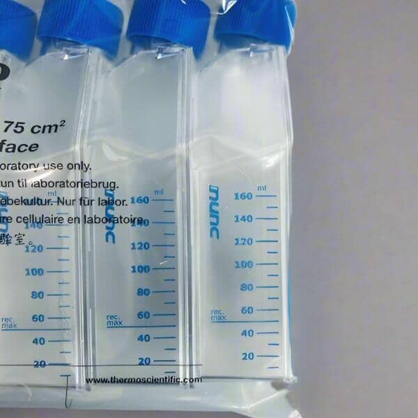 Thermo Scientific Culture Flask Nunc EasYFlask 75 cm2 Nunclon Delta Surface 5 x 20 - Case of 100 Lab Flasks Thermo Scientific