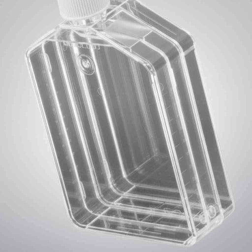 Thermo Scientific Culture Flask Triple with Filter Cap 500 cm2 Case of 32 Flasks Lab Culture Flask Thermo Scientific
