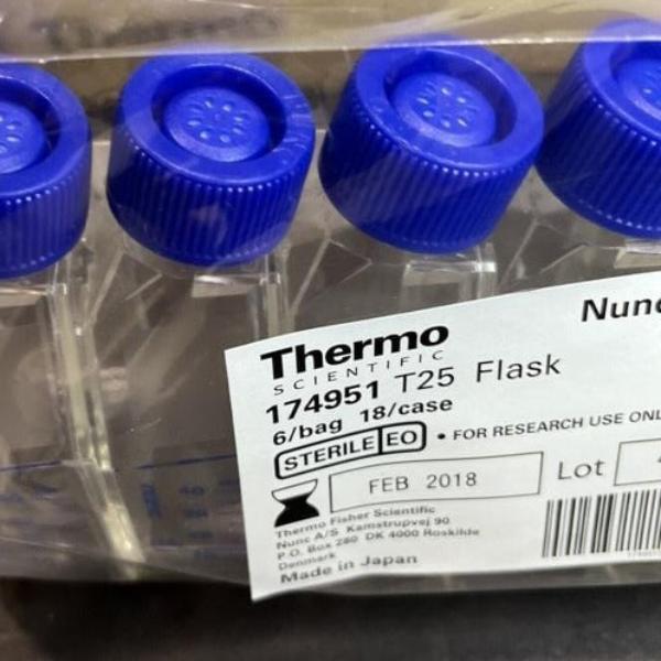 Thermo Scientific Culture Flask with Filter Cap 25 cm2 Nunclon Sphera 18 Flasks Lab Consumables::Tubes, Vials, and Flasks Thermo Scientific