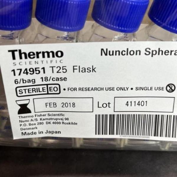 Thermo Scientific Culture Flask with Filter Cap 25 cm2 Nunclon Sphera 18 Flasks Lab Consumables::Tubes, Vials, and Flasks Thermo Scientific