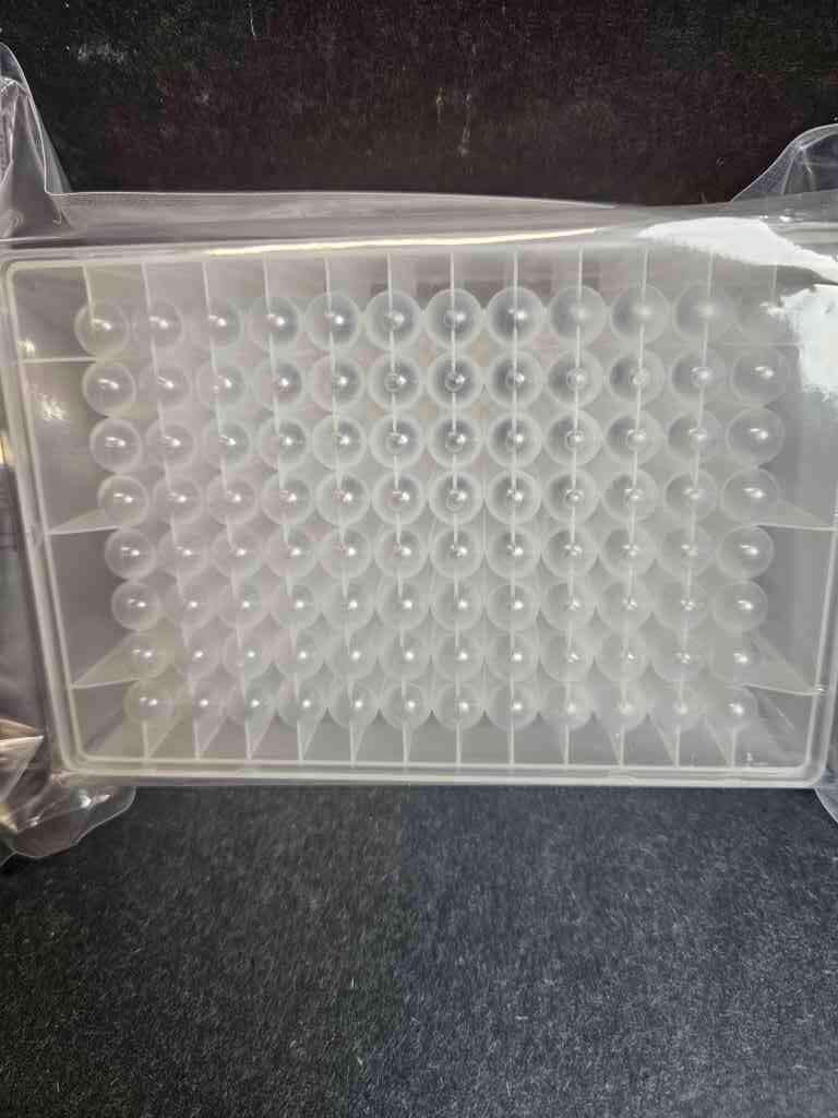 Thermo Scientific Deep Well Microplate 2 ml 96 Well Total of 20 Plates Petri Dishes/Culture Plates Thermo Scientific