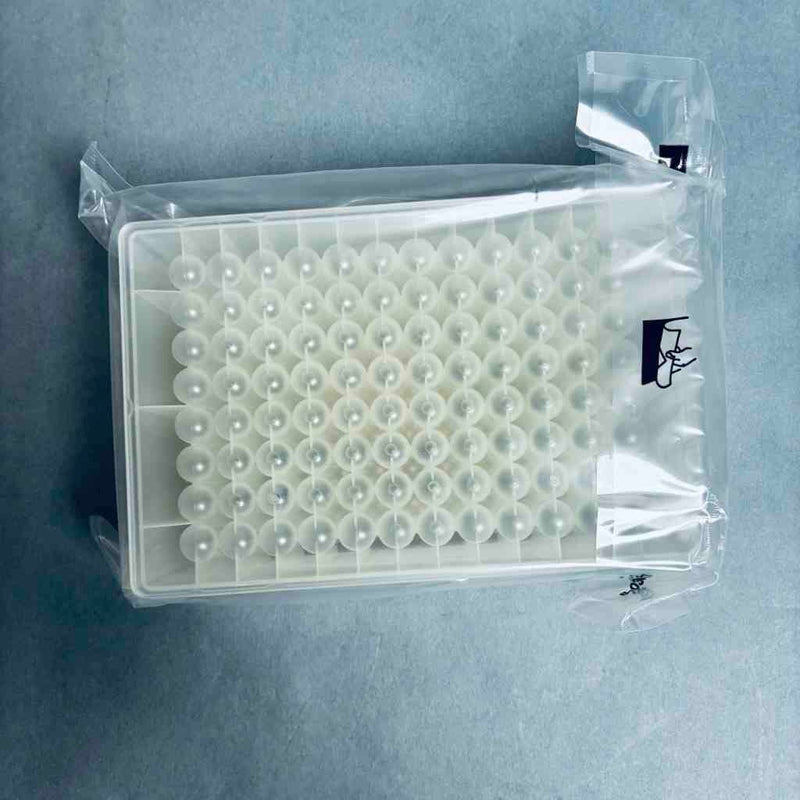 Thermo Scientific Deep Well Microplate 2 ml 96 Well Total of 60 Plates Petri Dishes/Culture Plates Thermo Scientific