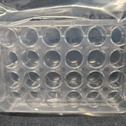 Thermo Scientific Microplate 24 Well 1.9 cm2 - Case of 75 Plates Lab Consumables::Storage and Culture Plates Thermo Scientific