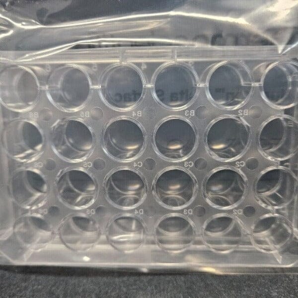 Thermo Scientific Microplate 24 Well 1.9 cm2 - Case of 75 Plates Lab Consumables::Storage and Culture Plates Thermo Scientific