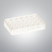 Thermo Scientific Microplate 24 Well 1.9 cm2 - Case of 75 Plates Lab Consumables::Storage and Culture Plates Thermo Scientific