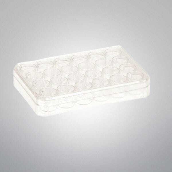 Thermo Scientific Microplate 24 Well 1.9 cm2 - Case of 75 Plates Lab Consumables::Storage and Culture Plates Thermo Scientific