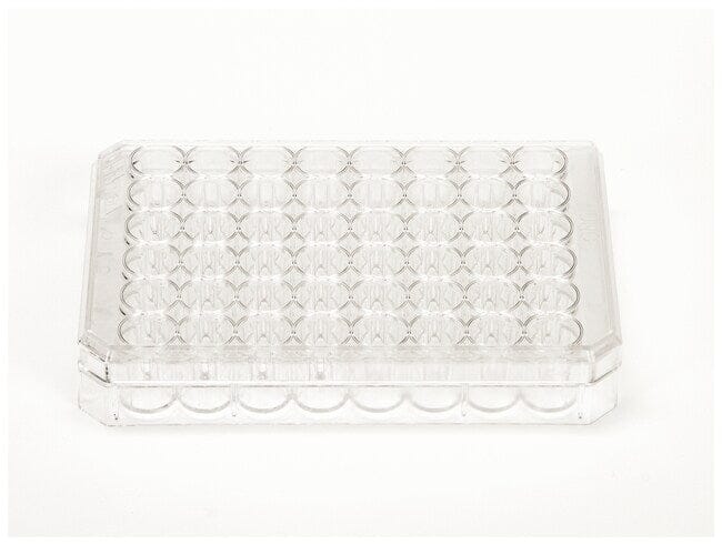 Thermo Scientific Microplate 48 Well 0.5 ml PS - Case of 75 Plates Lab Consumables::Storage and Culture Plates Thermo Scientific
