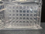 Thermo Scientific Microplate 48 Well 0.5 ml PS - Case of 75 Plates Lab Consumables::Storage and Culture Plates Thermo Scientific