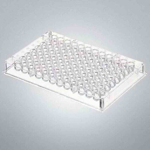 Thermo Scientific Microplate 96 Well 400 ul Polystyrene 50 Plates Petri Dishes/Culture Plates Thermo Scientific