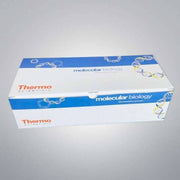 Thermo Scientific Microplate 96 Well Full Skirt Low Profile 125 Plates Lab Consumables::Storage and Culture Plates Thermo Scientific