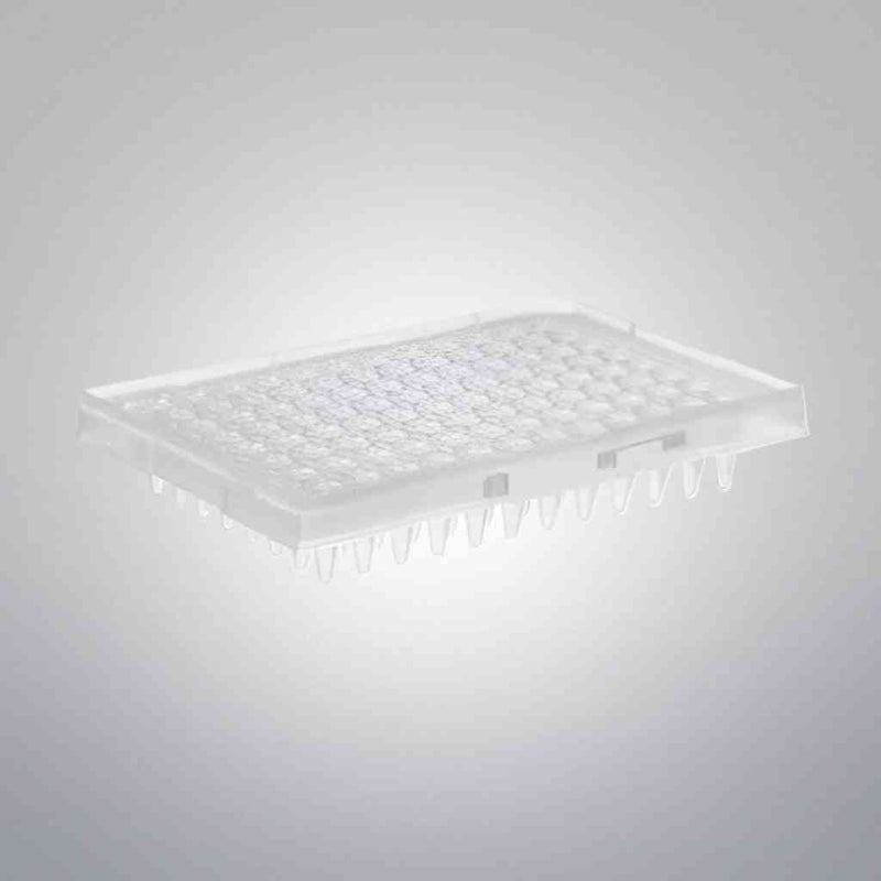 Thermo Scientific Microplate 96 Well PCR Non-Skirted 25 Plates Petri Dishes/Culture Plates Thermo Scientific