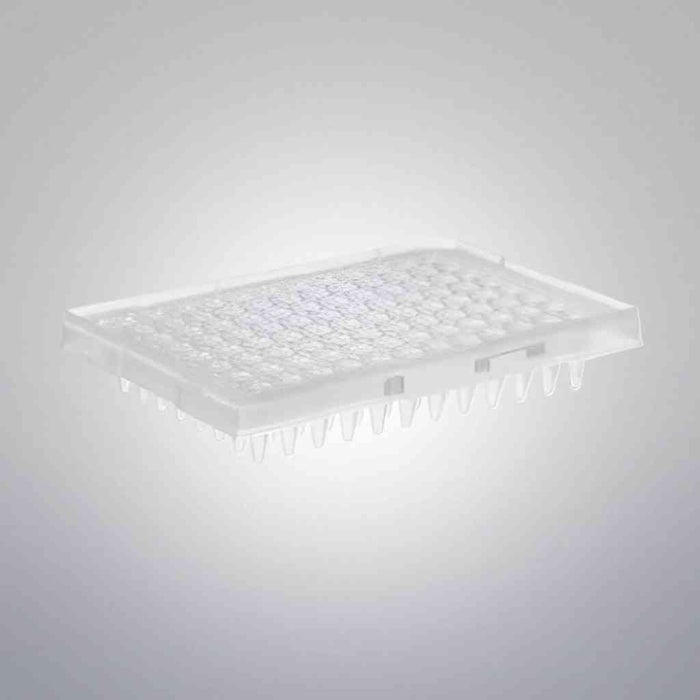 Thermo Scientific Microplate 96 Well PCR Non-Skirted 25 Plates Petri Dishes/Culture Plates Thermo Scientific
