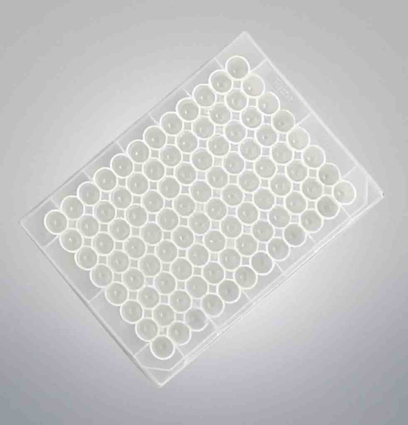 Thermo Scientific Microplate 96 Well U Well 0.5 ml Total of 110 Plates Petri Dishes/Culture Plates Thermo Scientific
