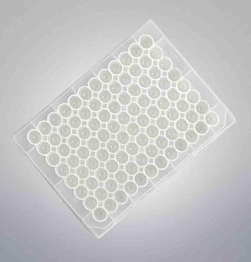 Thermo Scientific Microplate 96 Well U Well 0.5 ml Total of 110 Plates Petri Dishes/Culture Plates Thermo Scientific