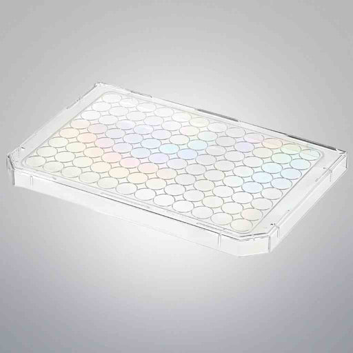 Thermo Scientific Microplate Lid for Silent Screen Plate Lot of 40 Lids Petri Dishes/Culture Plates Thermo Scientific