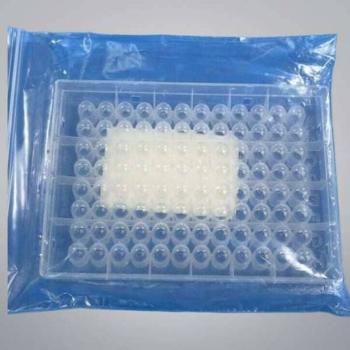 Thermo Scientific Microplate PCR Hybridization 96 Well Plate Lab Consumables::Storage and Culture Plates Thermo Scientific