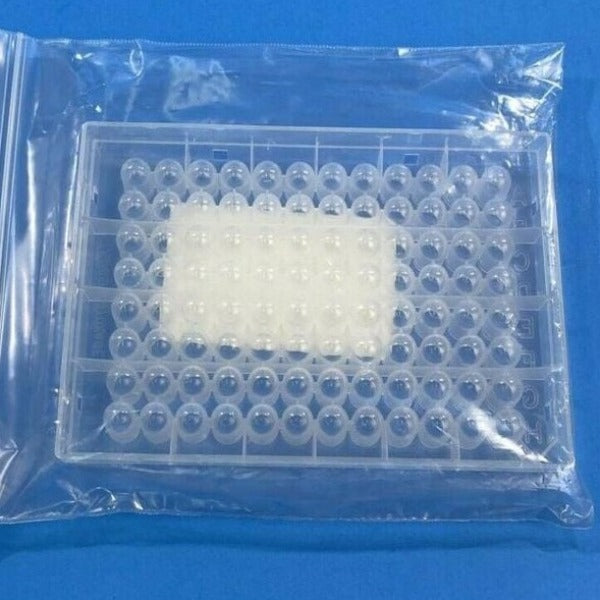 Thermo Scientific Microplate QP0545 PCR Hybridization Single 96 Well Plate Lab Consumables::Storage and Culture Plates Thermo Scientific