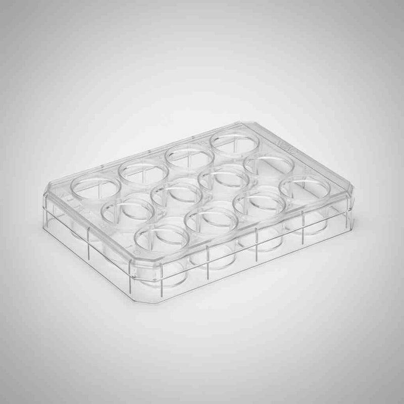 Thermo Scientific Microplate UpCell 12 Well Multidish 2 ml Case of 6 Plates Petri Dishes/Culture Plates Thermo Scientific
