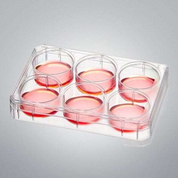 Thermo Scientific Microplate with Lid 6 Well 3 ml Case of 75 Plates Petri Dishes/Culture Plates Thermo Scientific