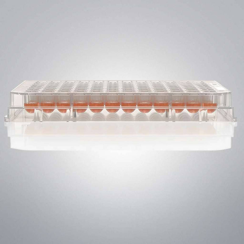 Thermo Scientific Microplate with Lid 96 Well 25 Plates Petri Dishes/Culture Plates Thermo Scientific