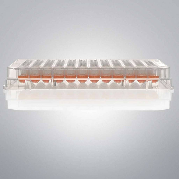 Thermo Scientific Microplate with Lid 96 Well 25 Plates Petri Dishes/Culture Plates Thermo Scientific