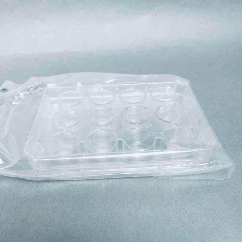 Thermo Scientific Nunc Multidish Non-Treated Sterile Microplate 12 Well Case of 75 Dishes Petri Dishes/Culture Plates Thermo Scientific