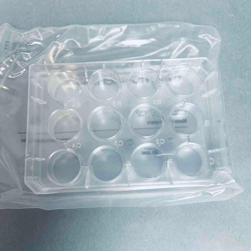 Thermo Scientific Nunc Multidish Non-Treated Sterile Microplate 12 Well Case of 75 Dishes Petri Dishes/Culture Plates Thermo Scientific