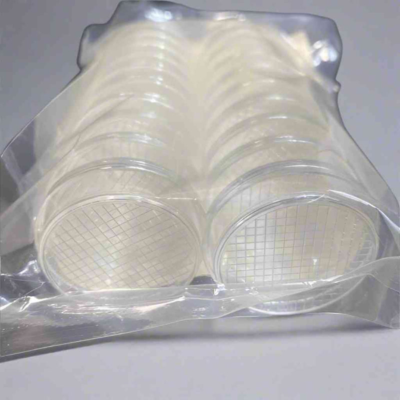 Thermo Scientific Nunc Petri Dish 2mm Gridded with Lid 200 Dishes Petri Dishes/Culture Plates Thermo Scientific