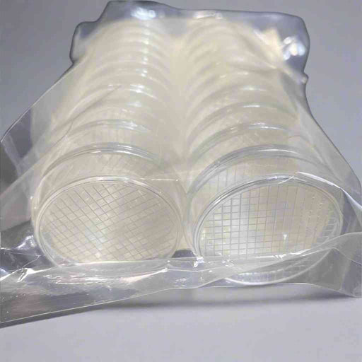 Thermo Scientific Nunc Petri Dish 2mm Gridded with Lid 200 Dishes Petri Dishes/Culture Plates Thermo Scientific