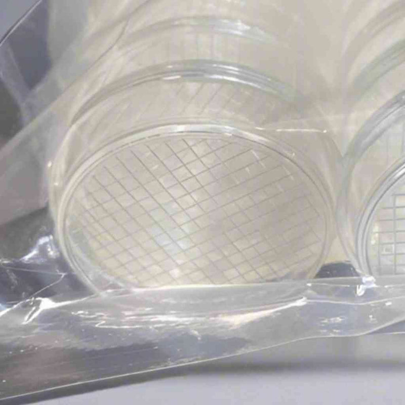 Thermo Scientific Nunc Petri Dish 2mm Gridded with Lid 200 Dishes Petri Dishes/Culture Plates Thermo Scientific