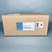 Thermo Scientific Nunc Serological Pipette 50 ml Polystyrene Case of 100 Pipets Pipets & Pipette Tips Thermo Scientific