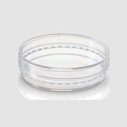 Thermo Scientific Petri Dish 12.5 ml 100 mm x 20 mm PE Case of 200 Dishes Lab Consumables::Storage and Culture Plates Thermo Scientific