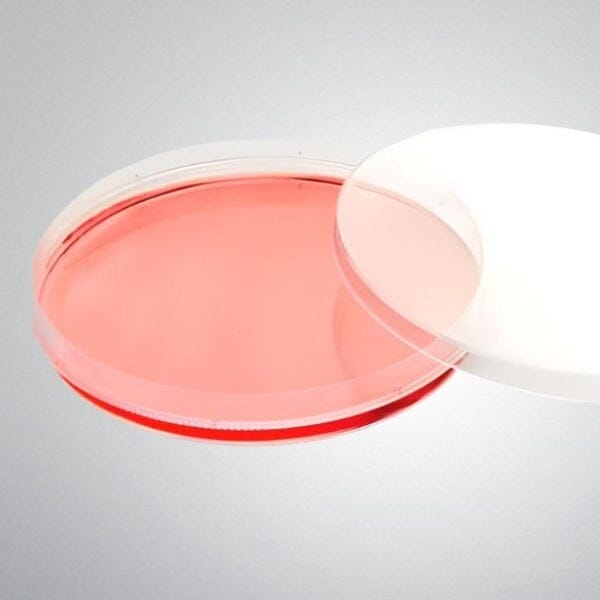 Thermo Scientific Petri Dish EasYDish 12.5 ml PS Case of 240 Dishes Lab Consumables::Storage and Culture Plates Thermo Scientific