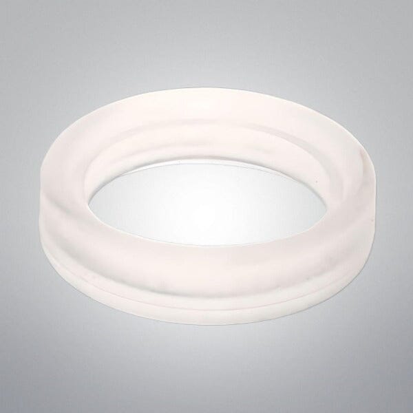 Thermo Scientific Sanitary Gasket 19mm Silicone Set of 2 Gaskets Other Thermo Scientific