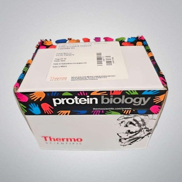 Thermo Scientific Slide-A-Lyzer Cassette 0.5 ml 3.5K MWCO Pack of 10 Cassettes Other Thermo Scientific