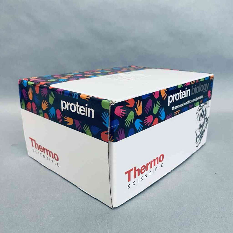 Thermo Scientific Streptavidin Microplate 96 Well Box of 5 Plates Microplates Thermo Scientific